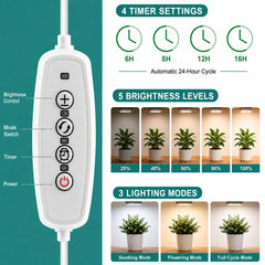 LORDEM Grow Light with timer and adapter included