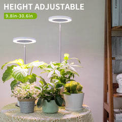 LORDEM LED Plant Lamp showing full spectrum light