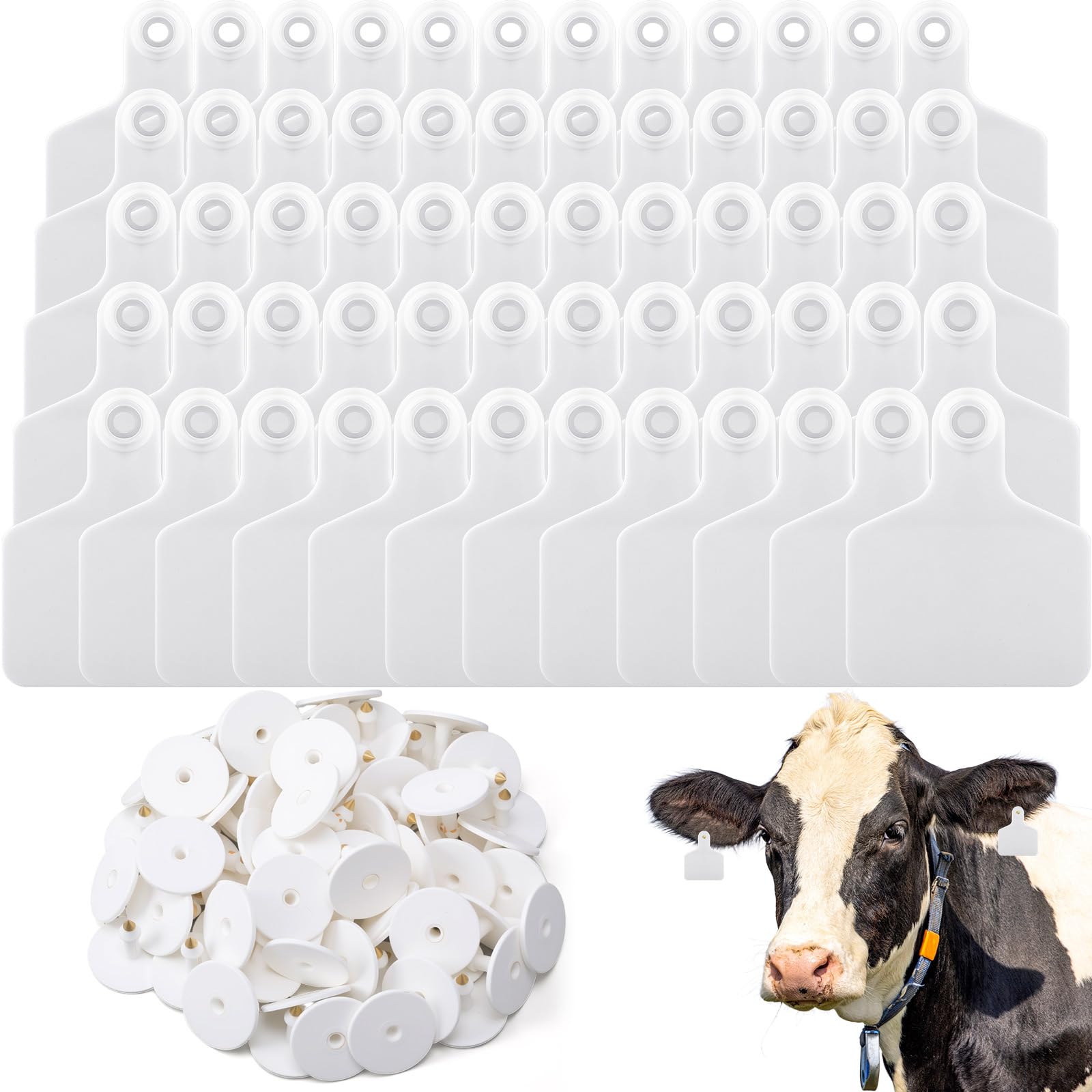 Lothee 100 Pcs Blank Cattle Ear Tags in white, front view