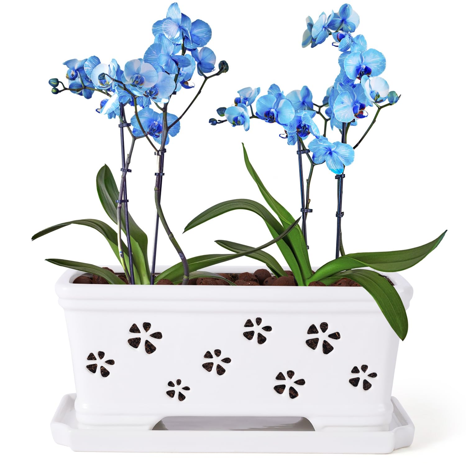 Lovely Ran 10 Inch Rectangle Ceramic Orchid Pot front view
