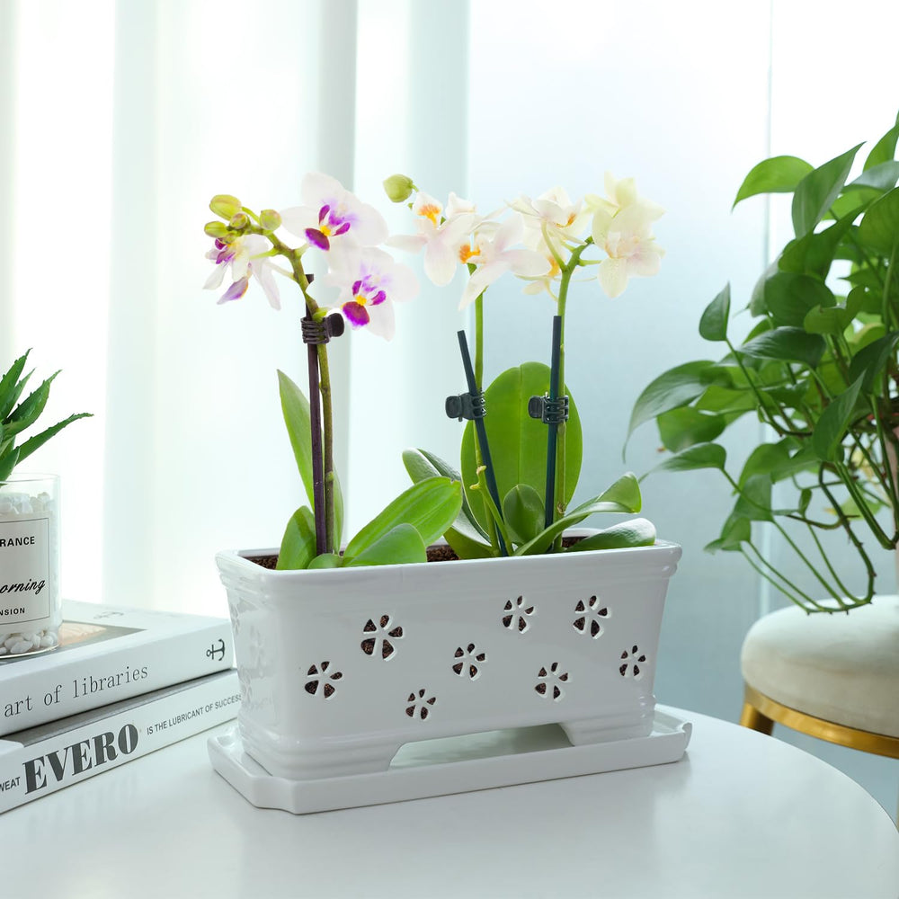 Lovely Ran Ceramic Orchid Pot with butterfly orchids