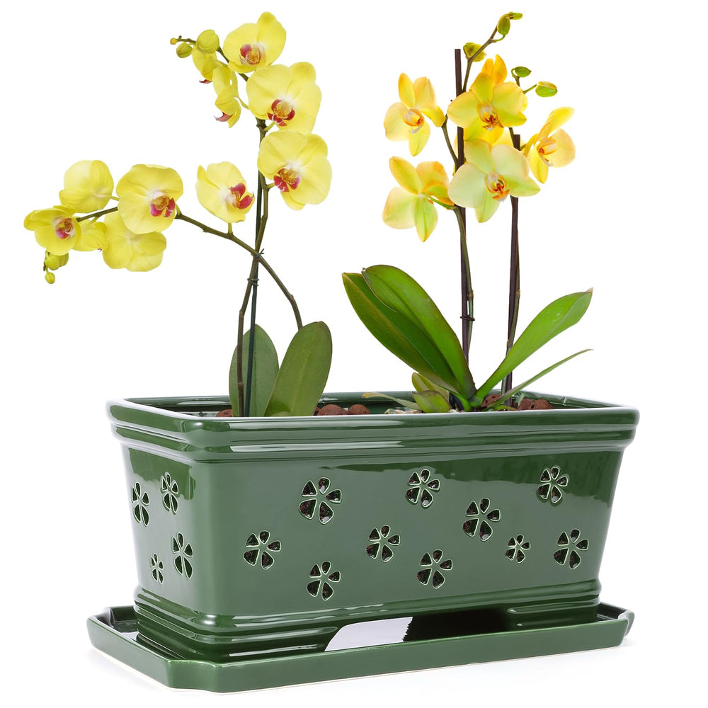 Lovely Ran Green Ceramic Orchid Planter Pot front view