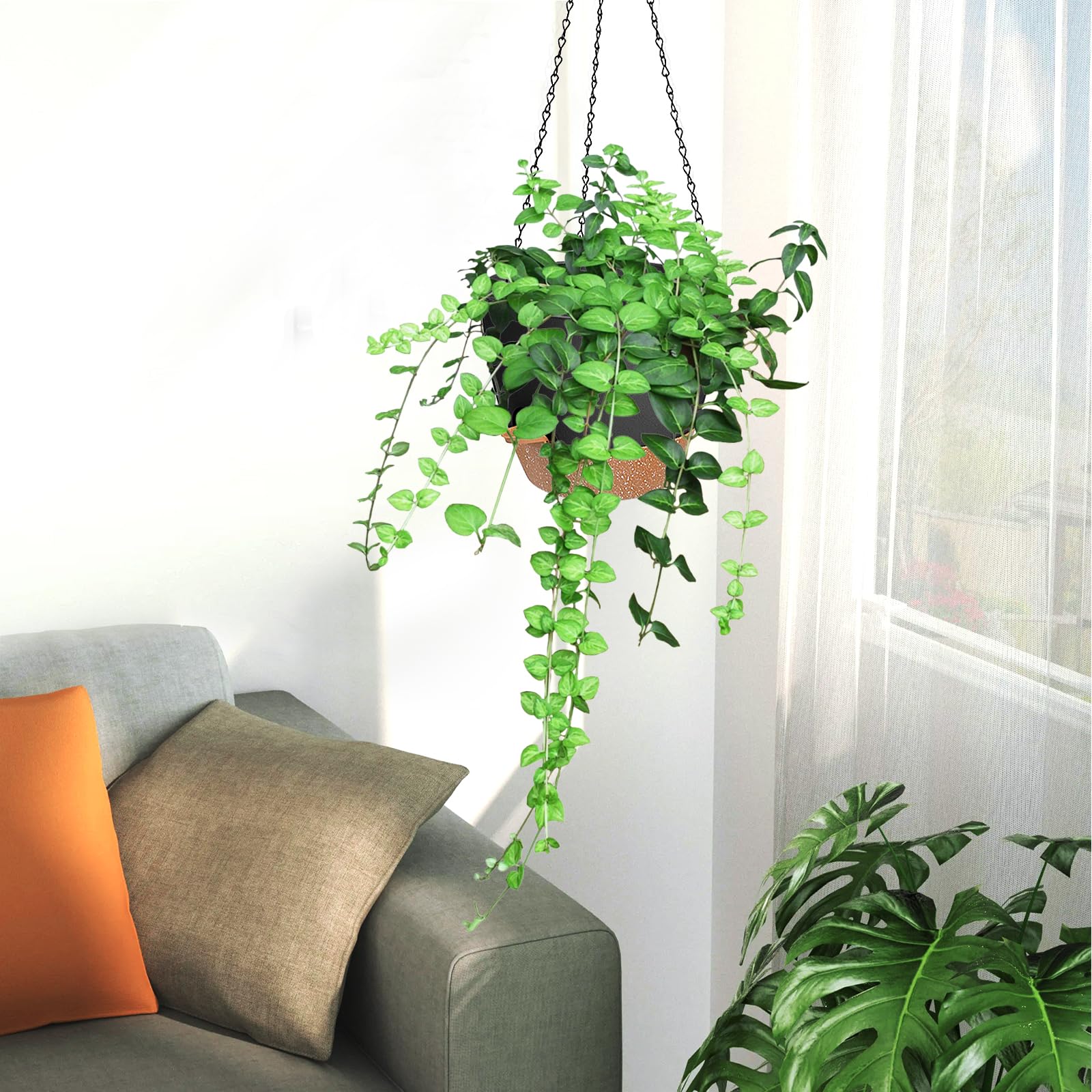 Lucieblessdesign hanging planters packaging and contents