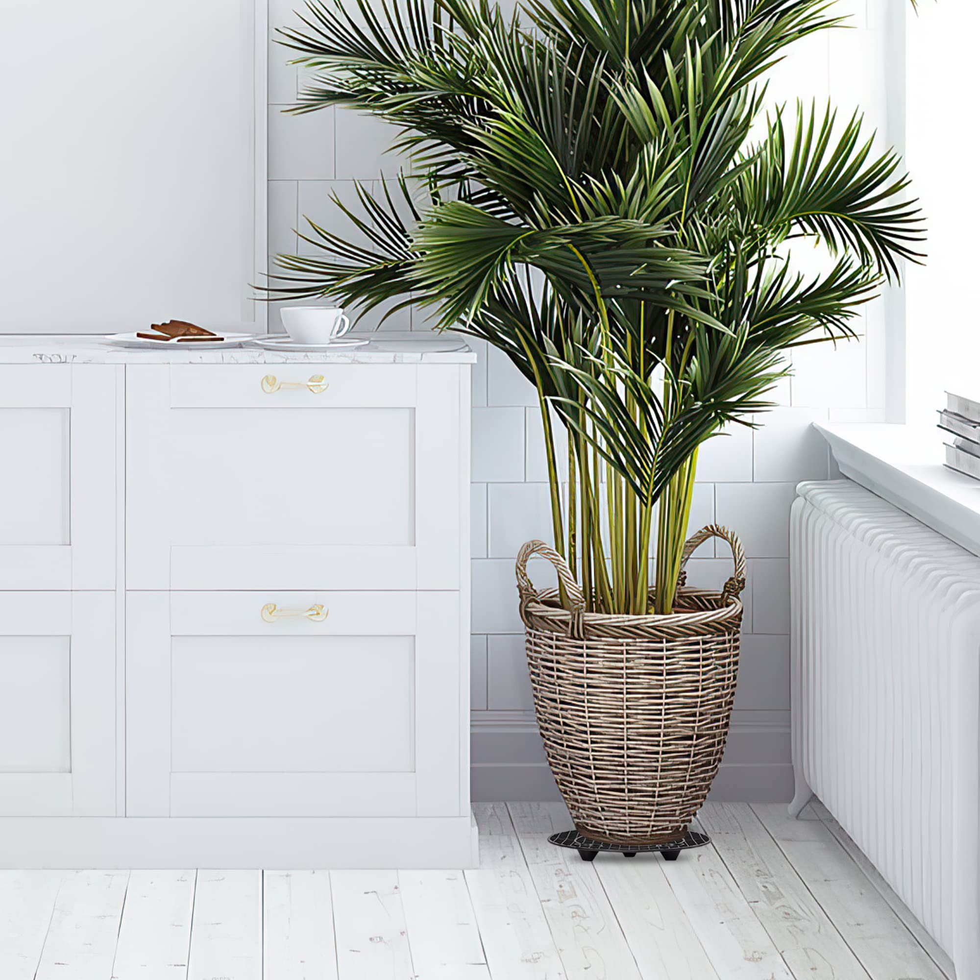 LUCKIPLUS plant stand set pack size displayed on packaging