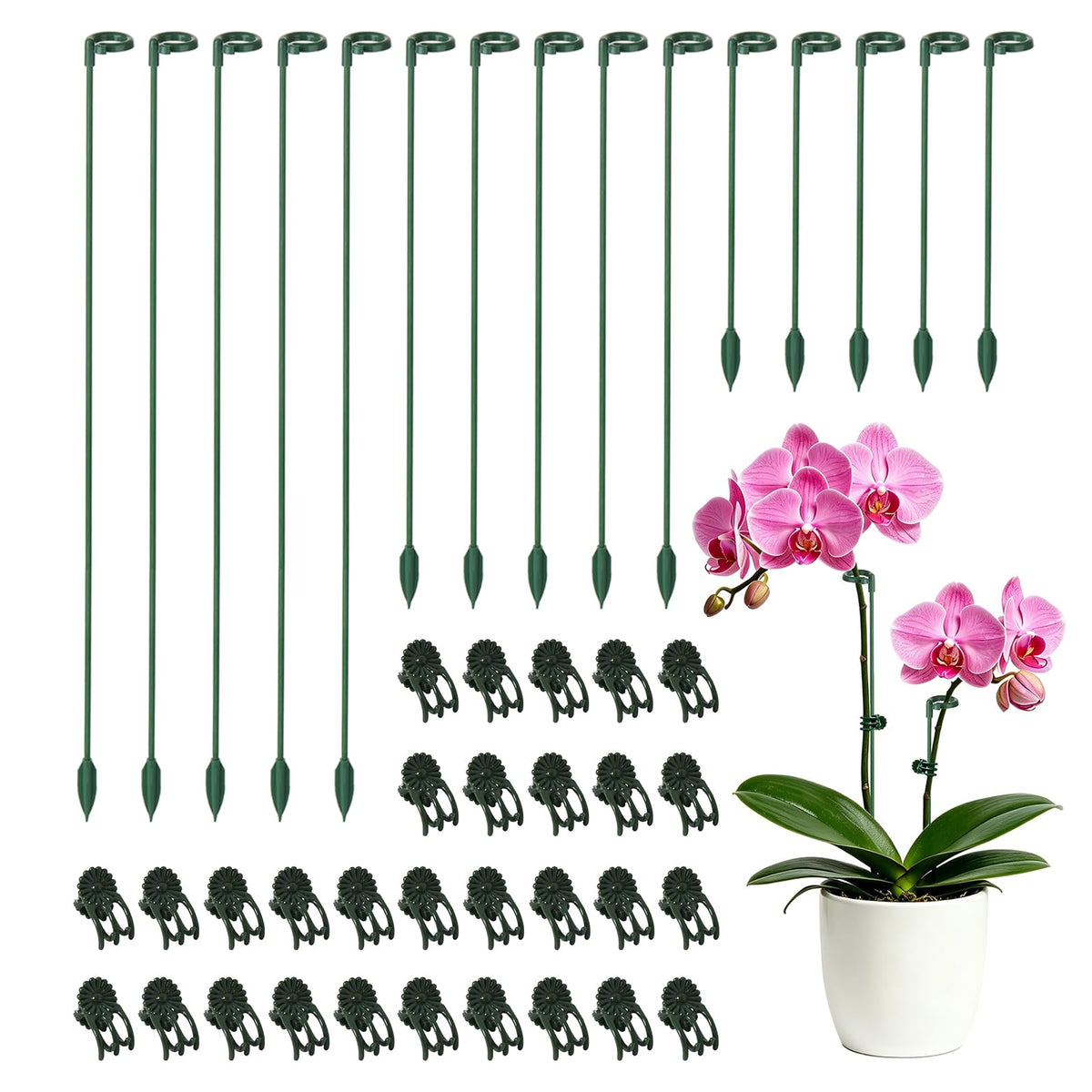 LUCKJUJU Plant Support Stakes 30 sets in packaging