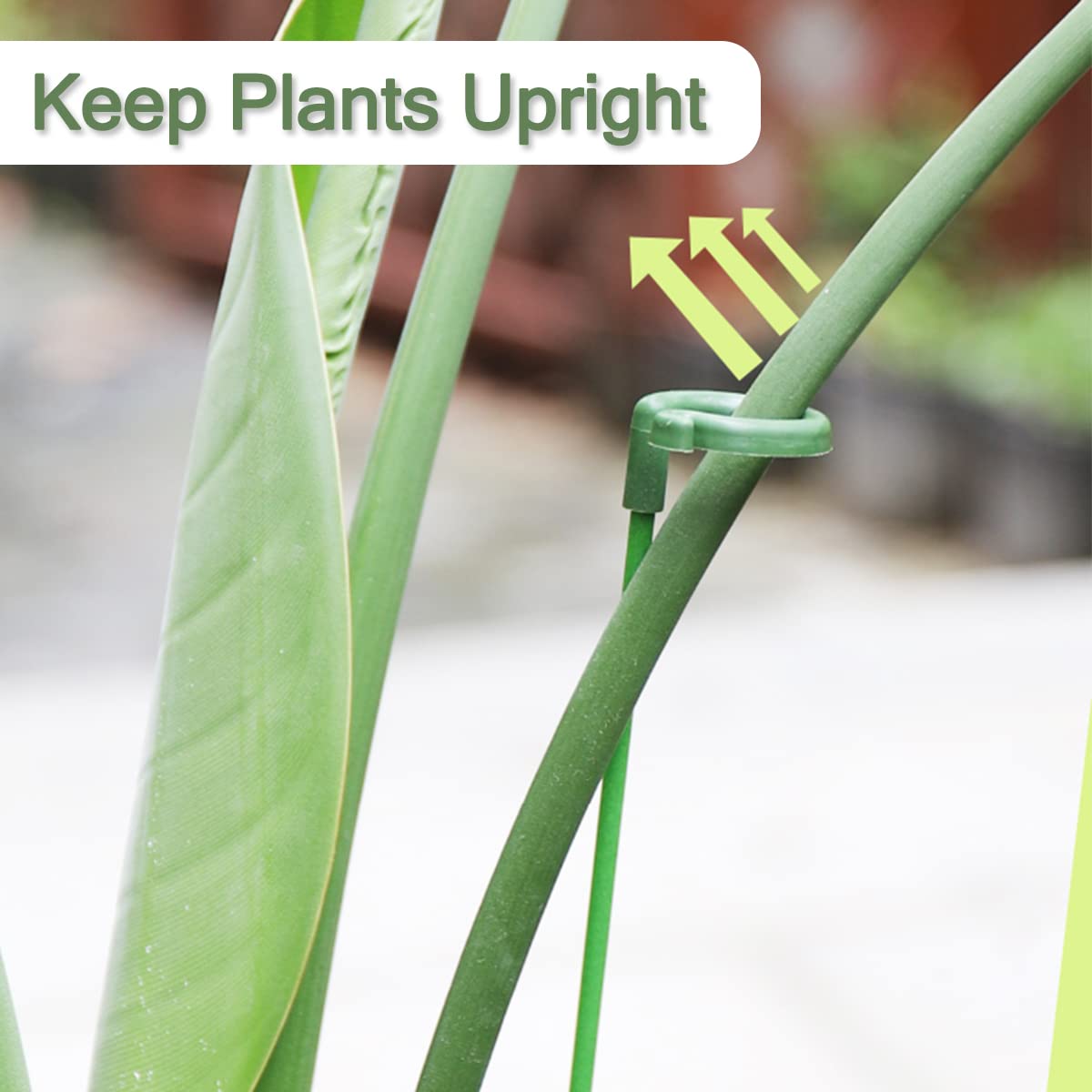 LUCKJUJU Plant Support Stakes assembled with plant