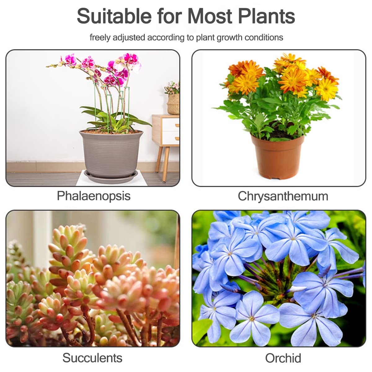 LUCKJUJU Plant Support Stakes in garden setting