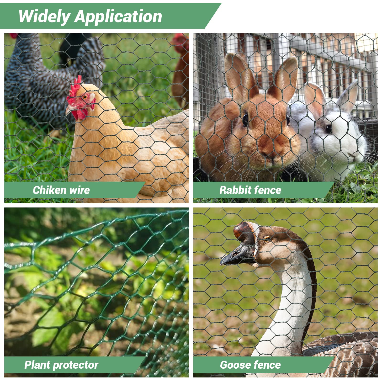 Lucomb Chicken Wire in use as a garden fence