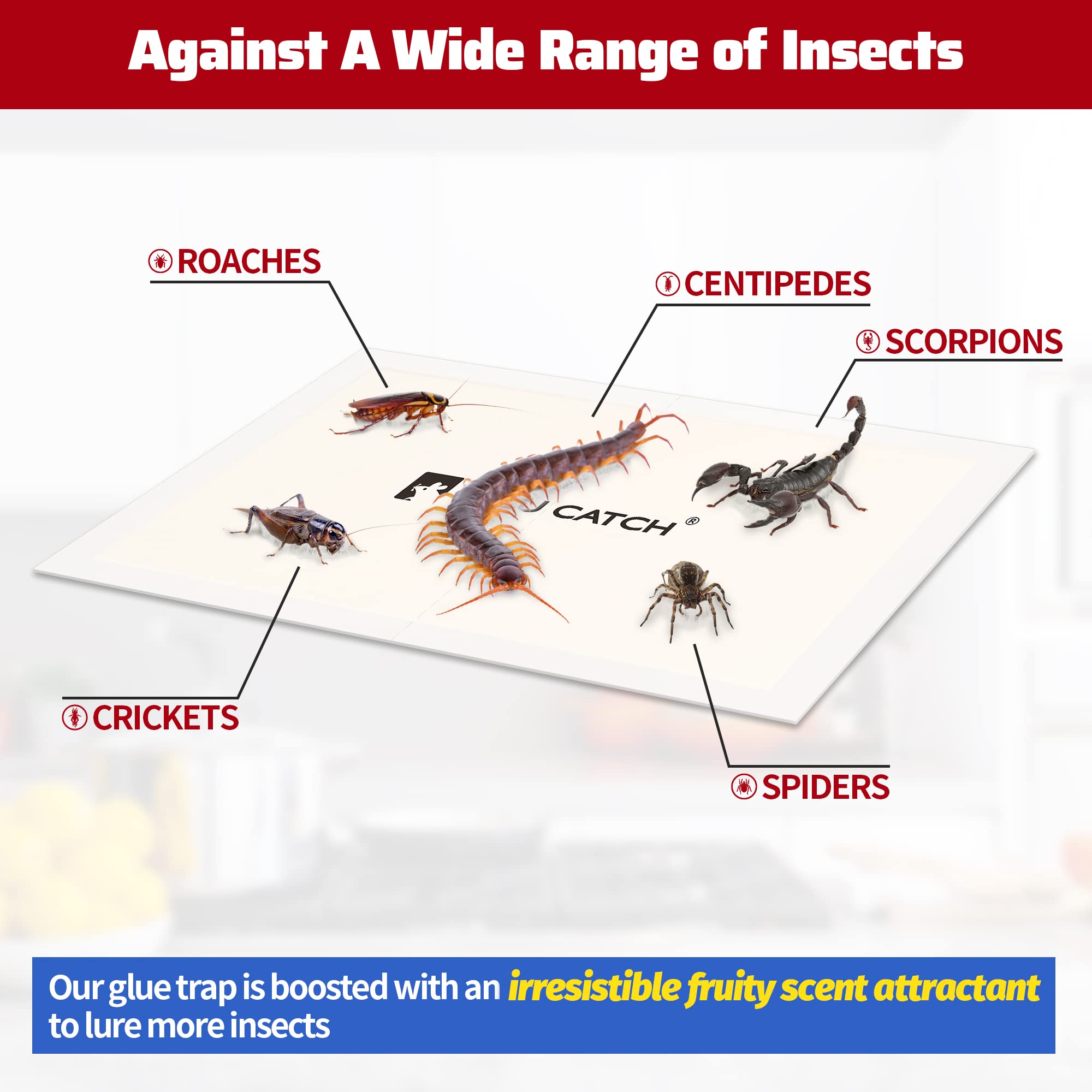 LULUCATCH Cricket Insect Glue Trap with molasses fruity scent attractant