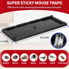 LULUCATCH Glue Trap showing adhesive surface
