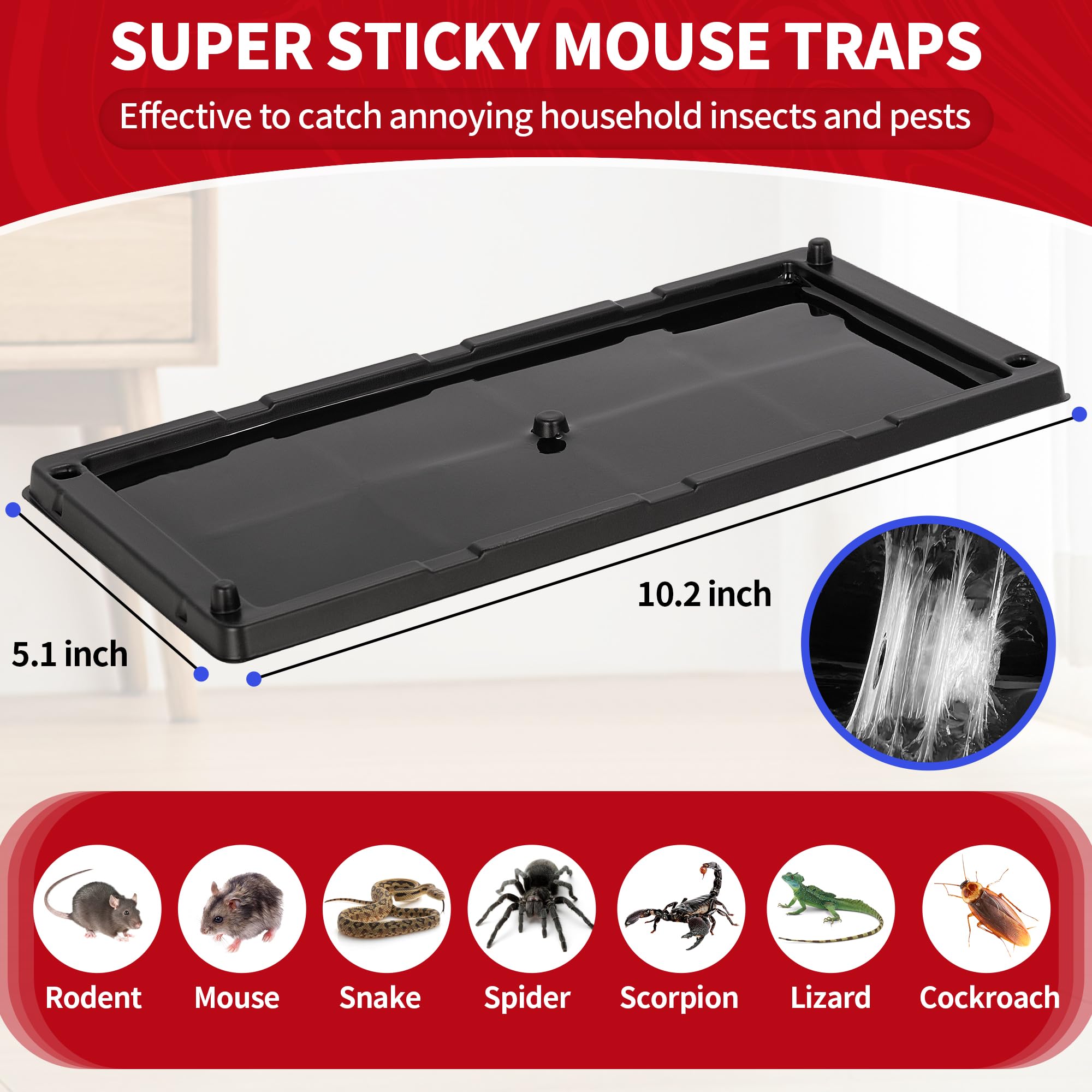LULUCATCH Glue Trap Side View with Adhesive Surface
