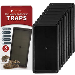 LULUCATCH Mouse Glue Trap front view, large size with peanut butter scent
