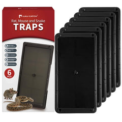 LULUCATCH Mouse Glue Trap front view with peanut butter scent