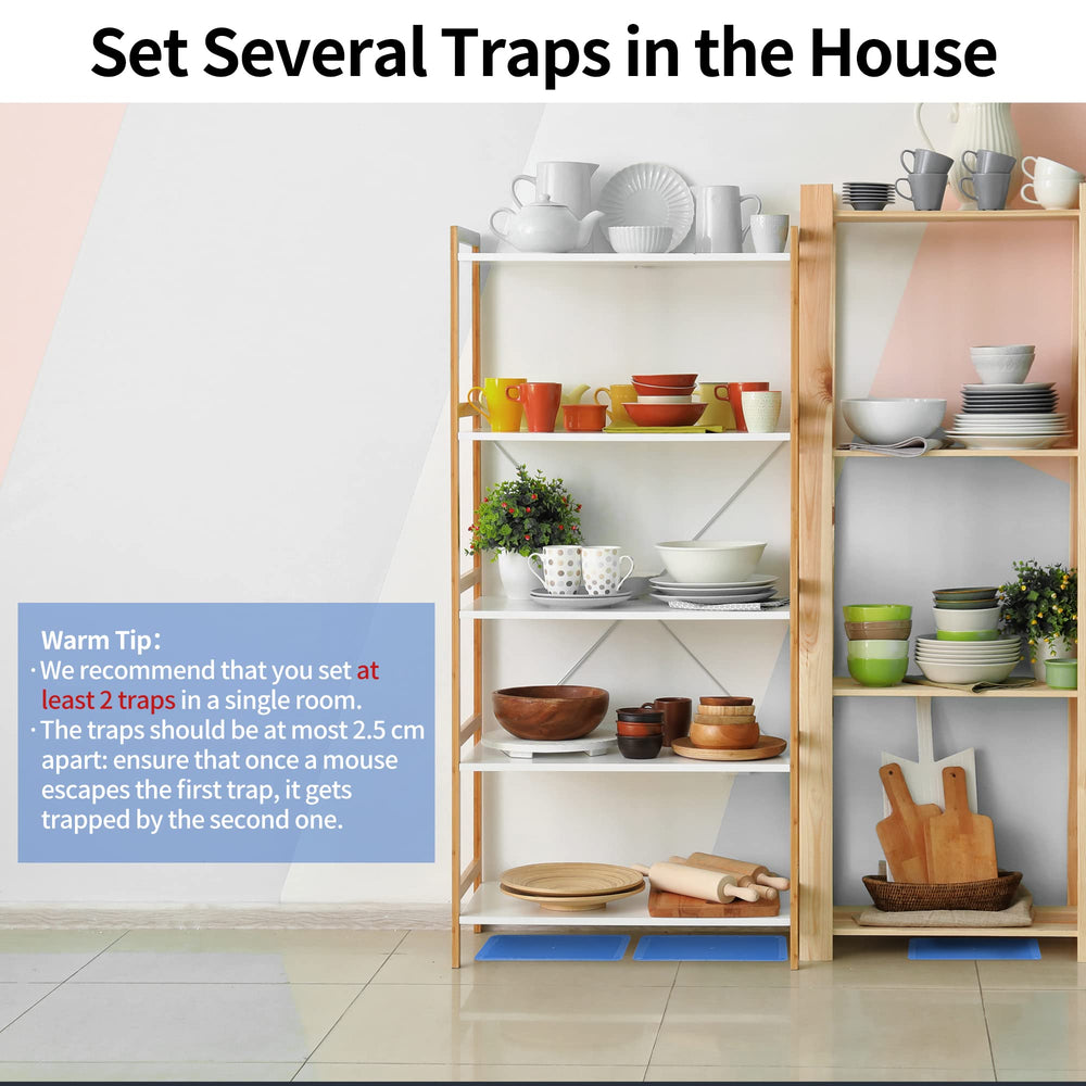 LULUCATCH Mouse Glue Trap packaging with 10 traps visible