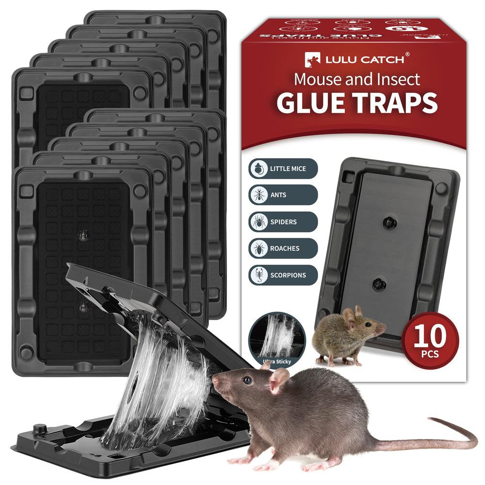 LULUCATCH Mouse & Insect Glue Trap front view with peanut butter scent