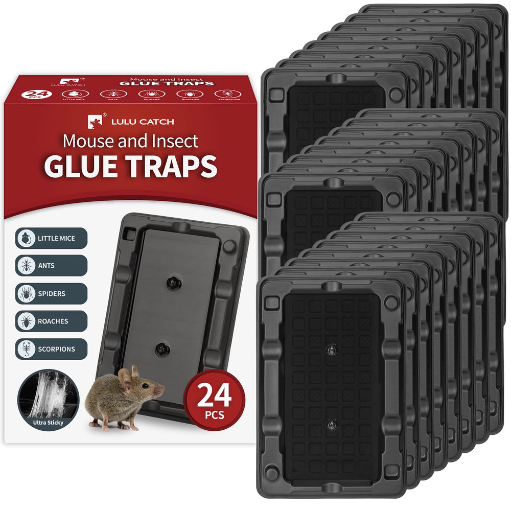 LULUCATCH Mouse & Insect Traps 24 Pack with peanut butter scent