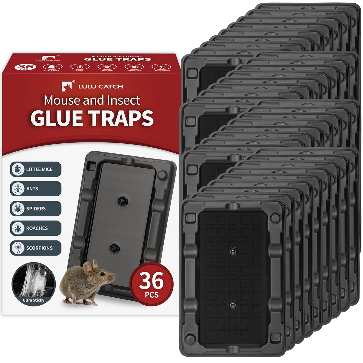 LULUCATCH Mouse & Insect Traps 36 Pack front view
