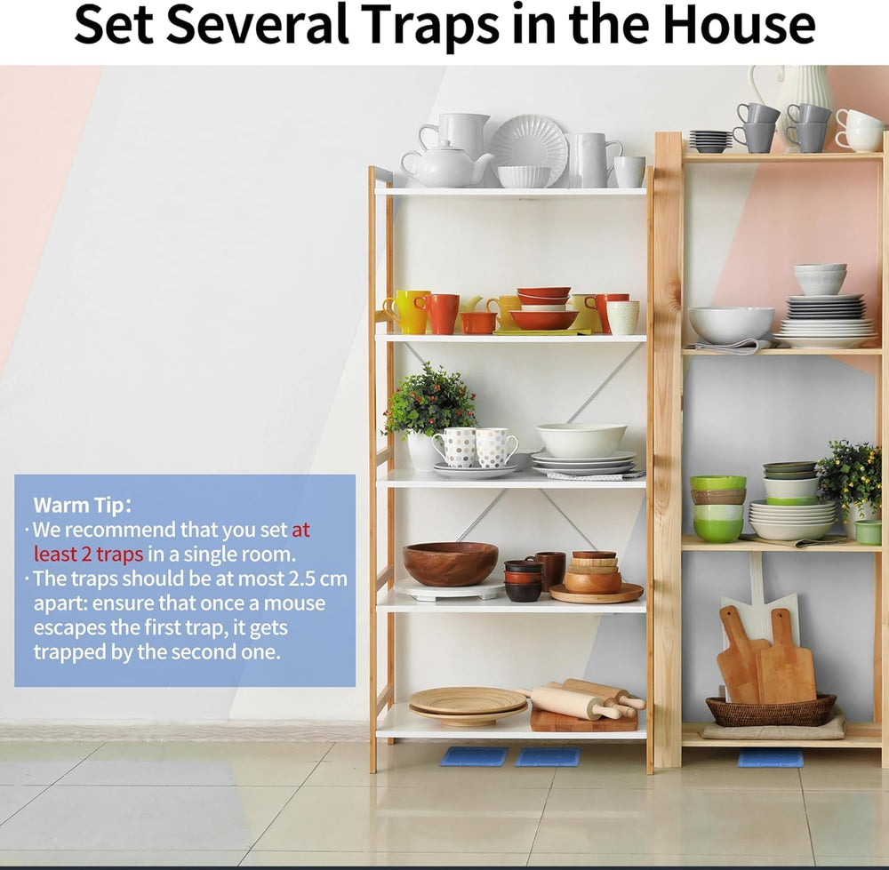 LULUCATCH Mouse & Insect Traps pack details