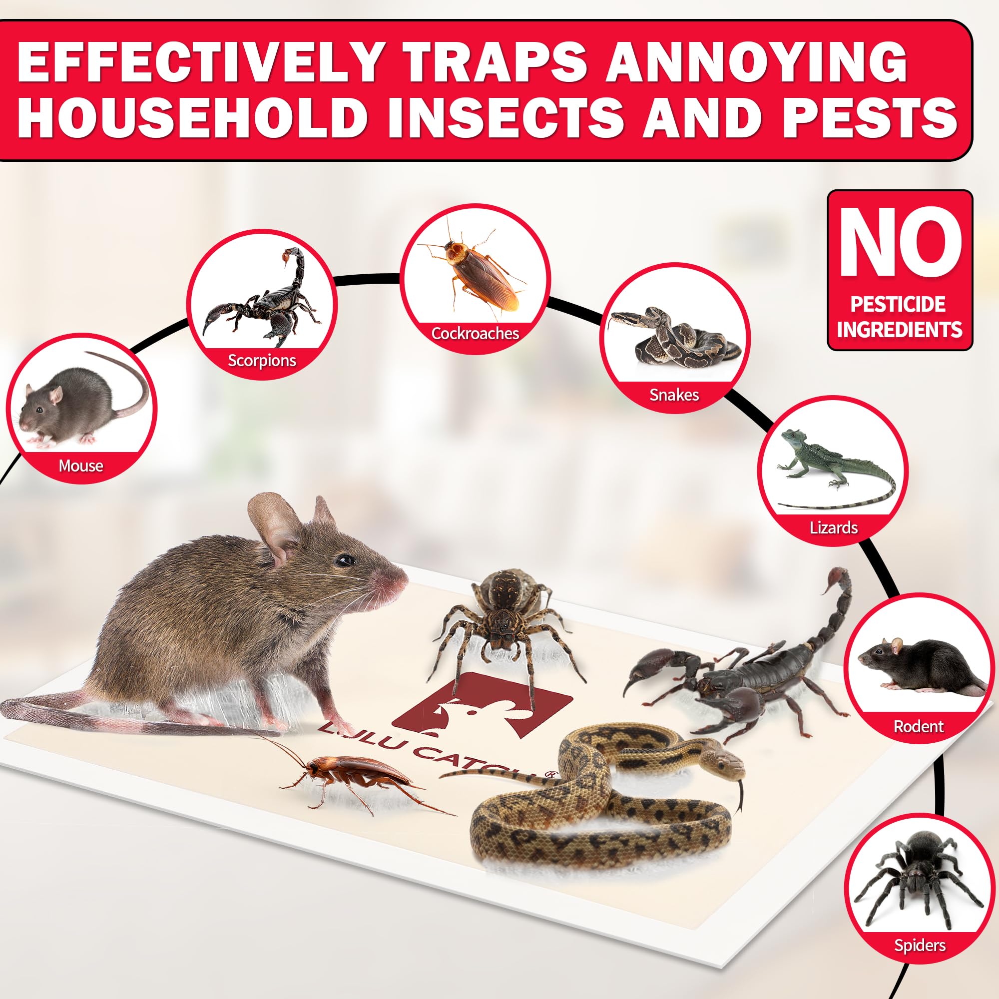LULUCATCH Mouse Trap in a discreet indoor setting