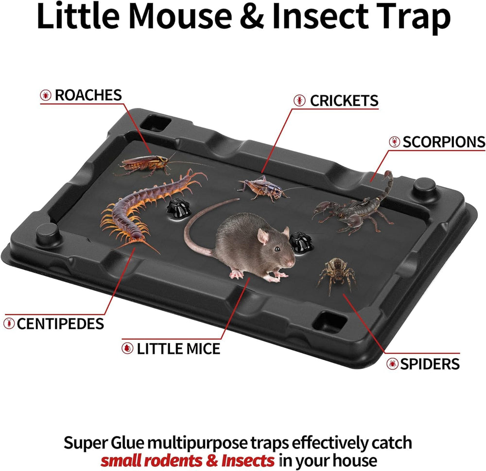LULUCATCH Mouse Trap with peanut butter scent close-up