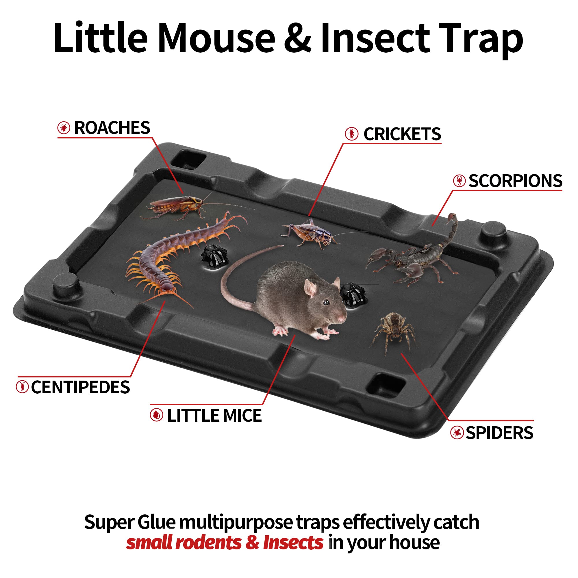 LULUCATCH Mouse Trap with peanut butter scent close-up