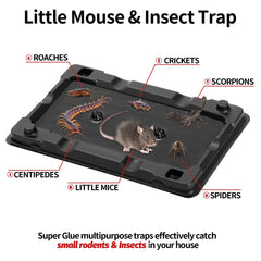 LULUCATCH Mouse Trap with peanut butter scent close-up