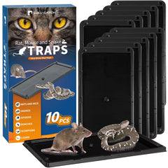 LULUCATCH Mouse Traps 10 Pack with Peanut Butter Scent, front view