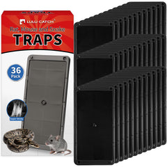 LULUCATCH Mouse Traps 36 Pack front view with peanut butter scent