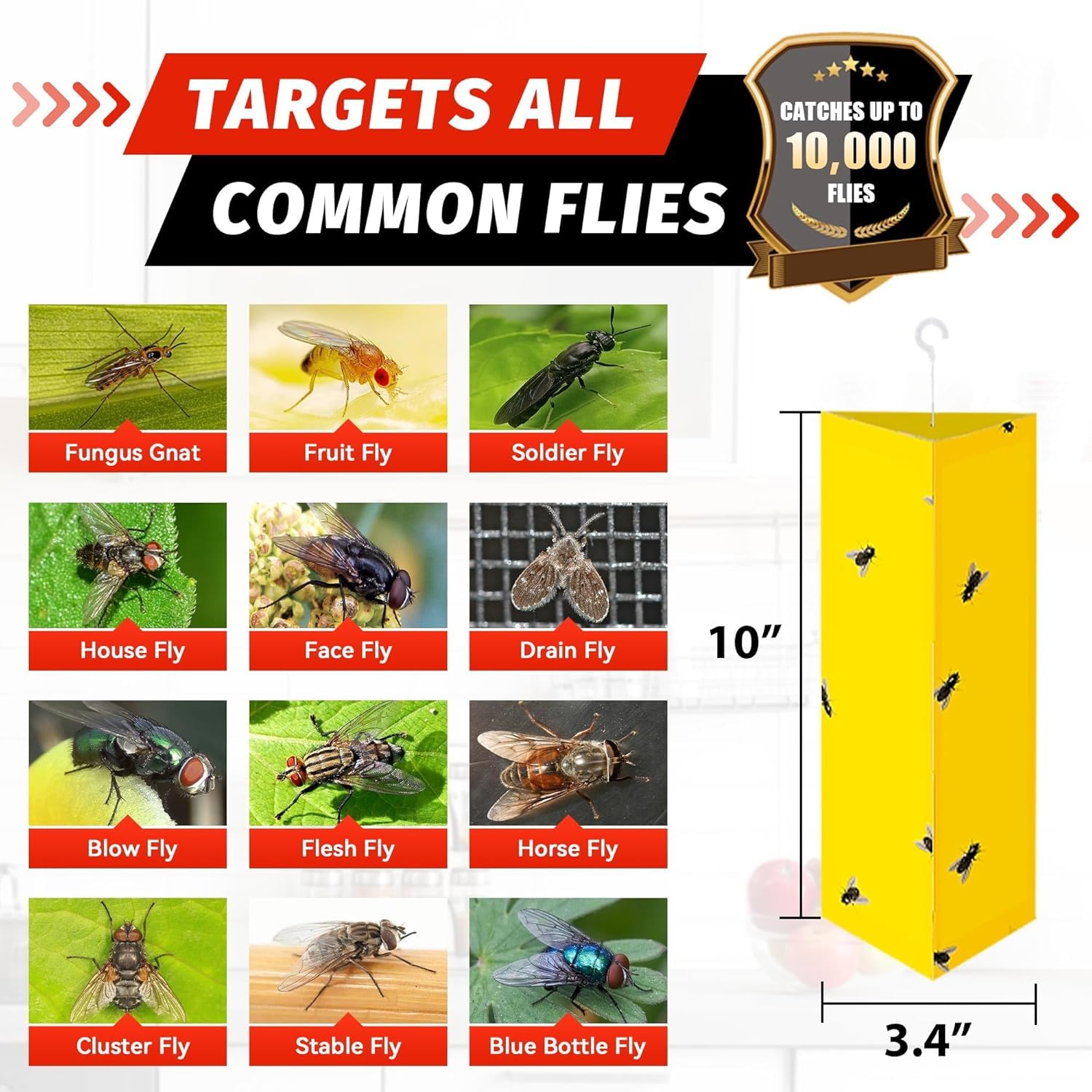 LULUCATCH Sticky Fly Trap folded into a triangular shape