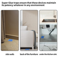 LULUCATCH traps displayed in kitchen setting