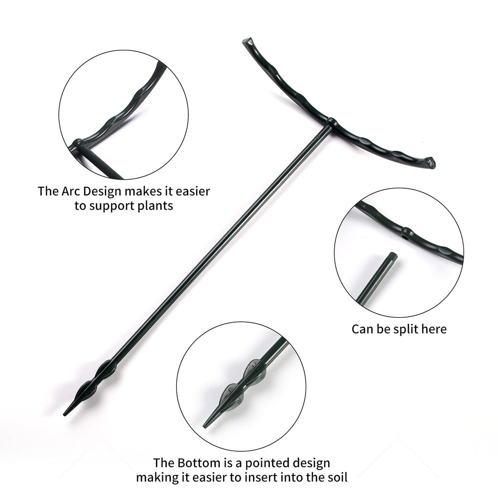 Lunhans Plant Support Stakes supporting indoor plants