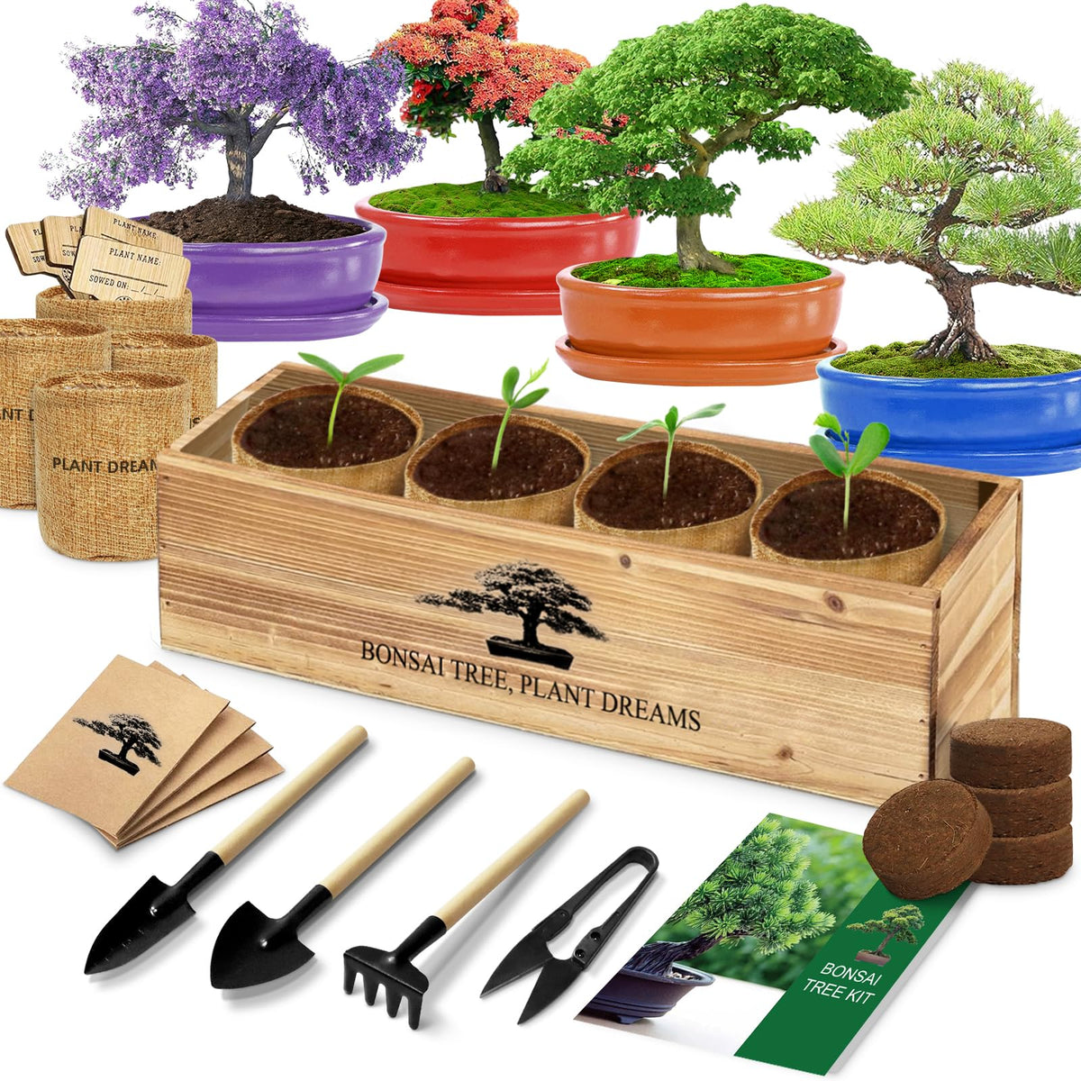LUOJIBIE Bonsai Tree Kit packaging front view with tools and seeds