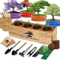 LUOJIBIE Bonsai Tree Kit packaging front view with tools and seeds