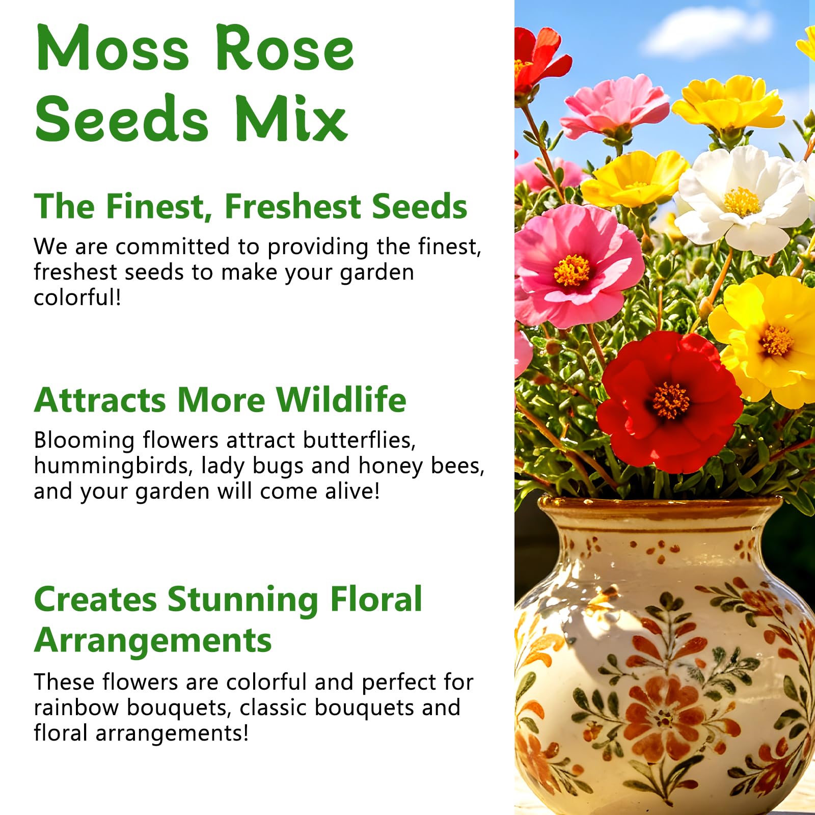 LUOJIBIE Moss Rose Seeds in a garden setting with blooming flowers