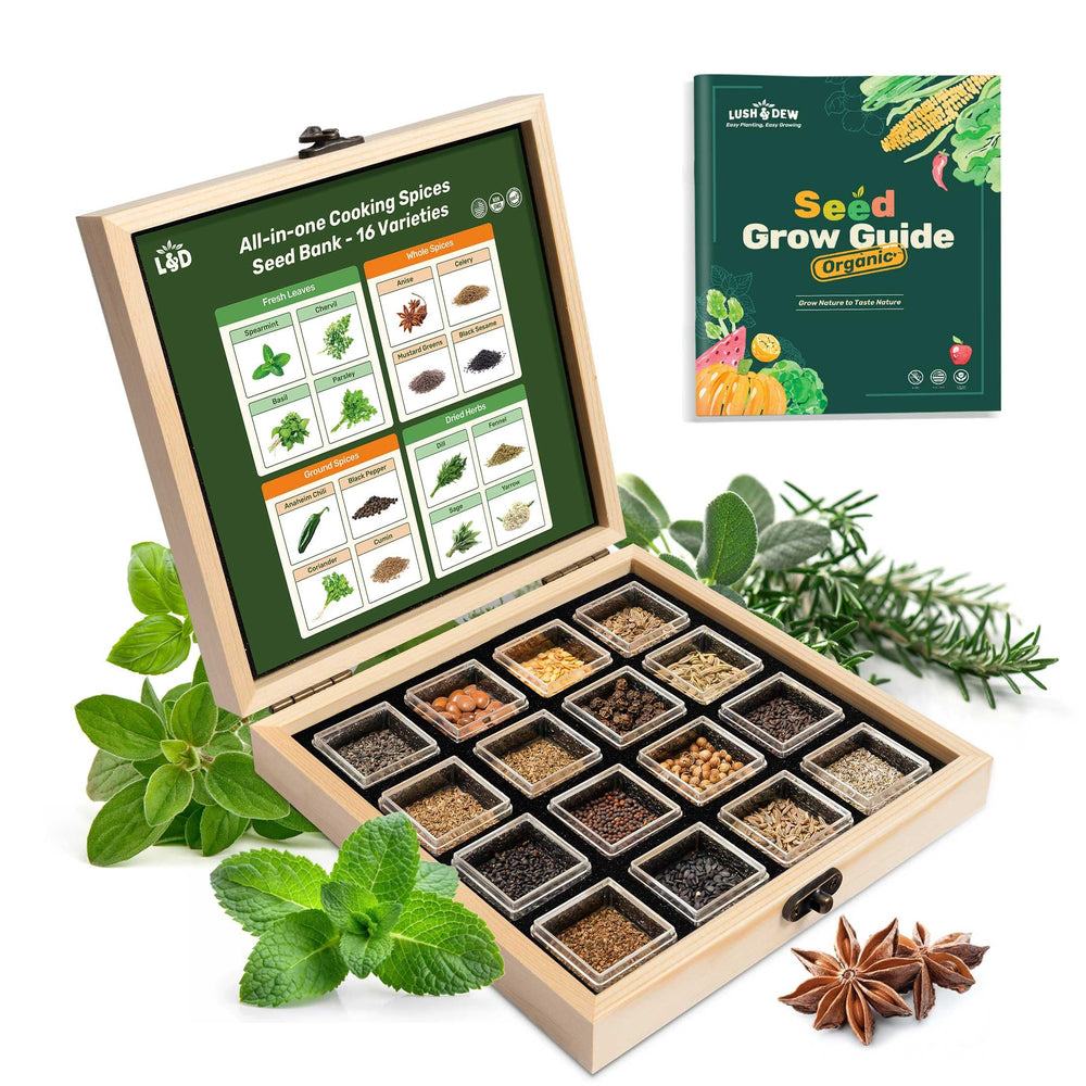 LUSH&DEW Culinary Herbs Garden Seed Bank wooden storage box with seeds