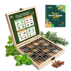 LUSH&DEW Culinary Herbs Garden Seed Bank wooden storage box with seeds