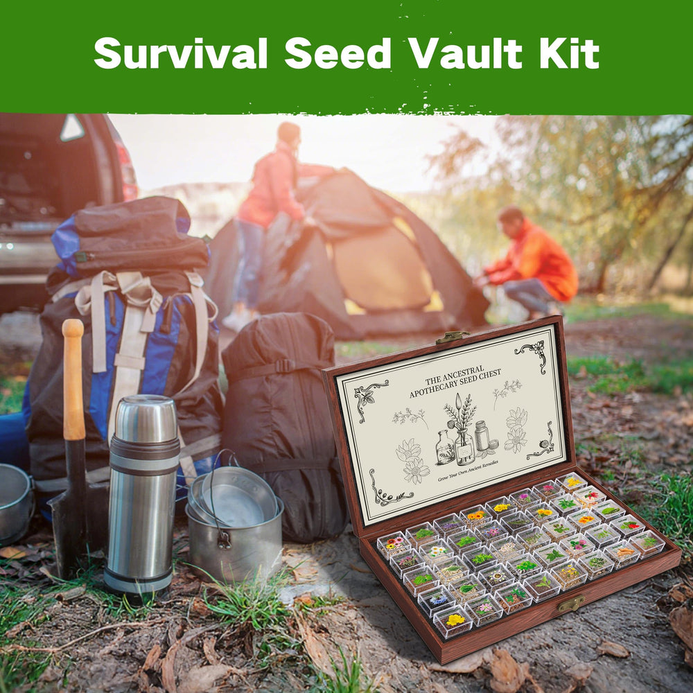 LUSH&DEW herb seed kit planting guide and instructions