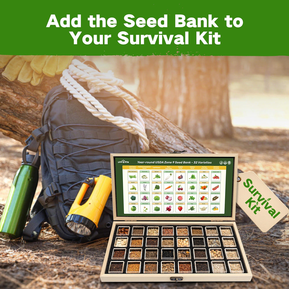 LUSH&DEW seed bank packaged for gift-giving