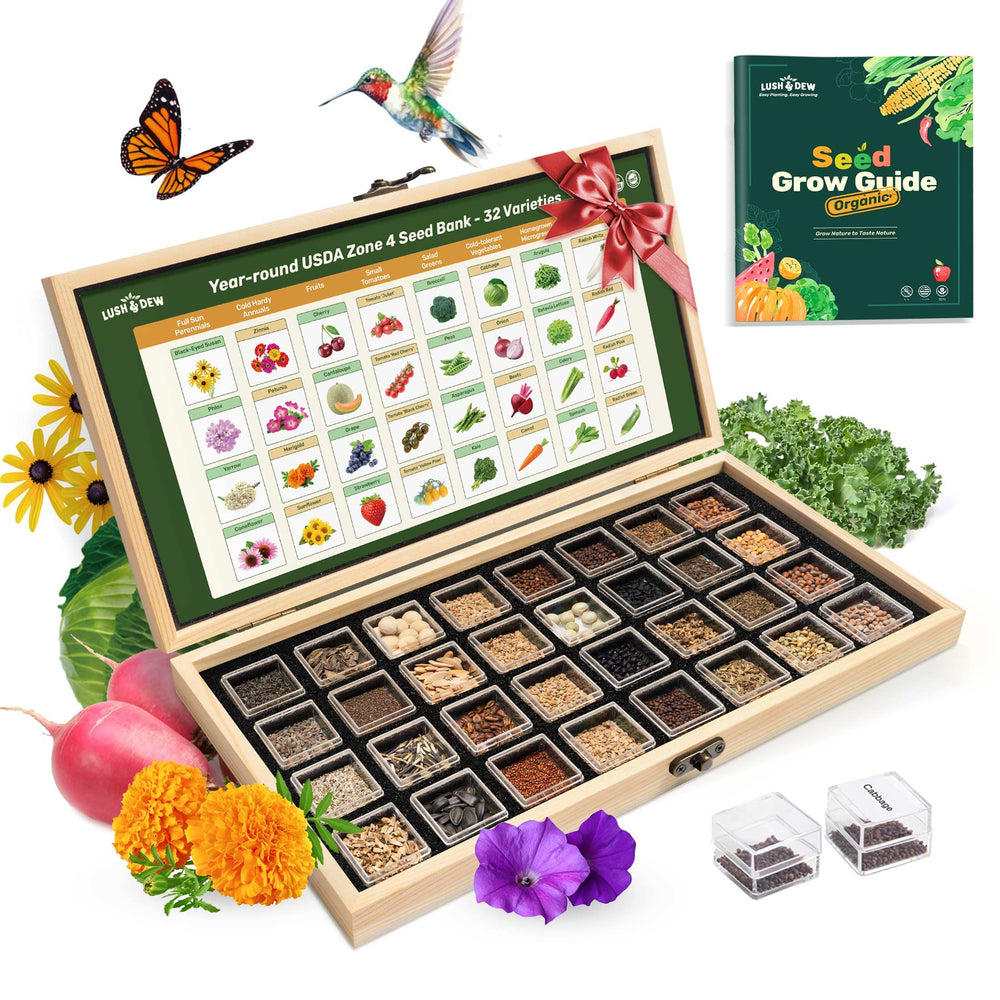LUSH&DEW USDA Zone 4 Seed Bank front view with acrylic container