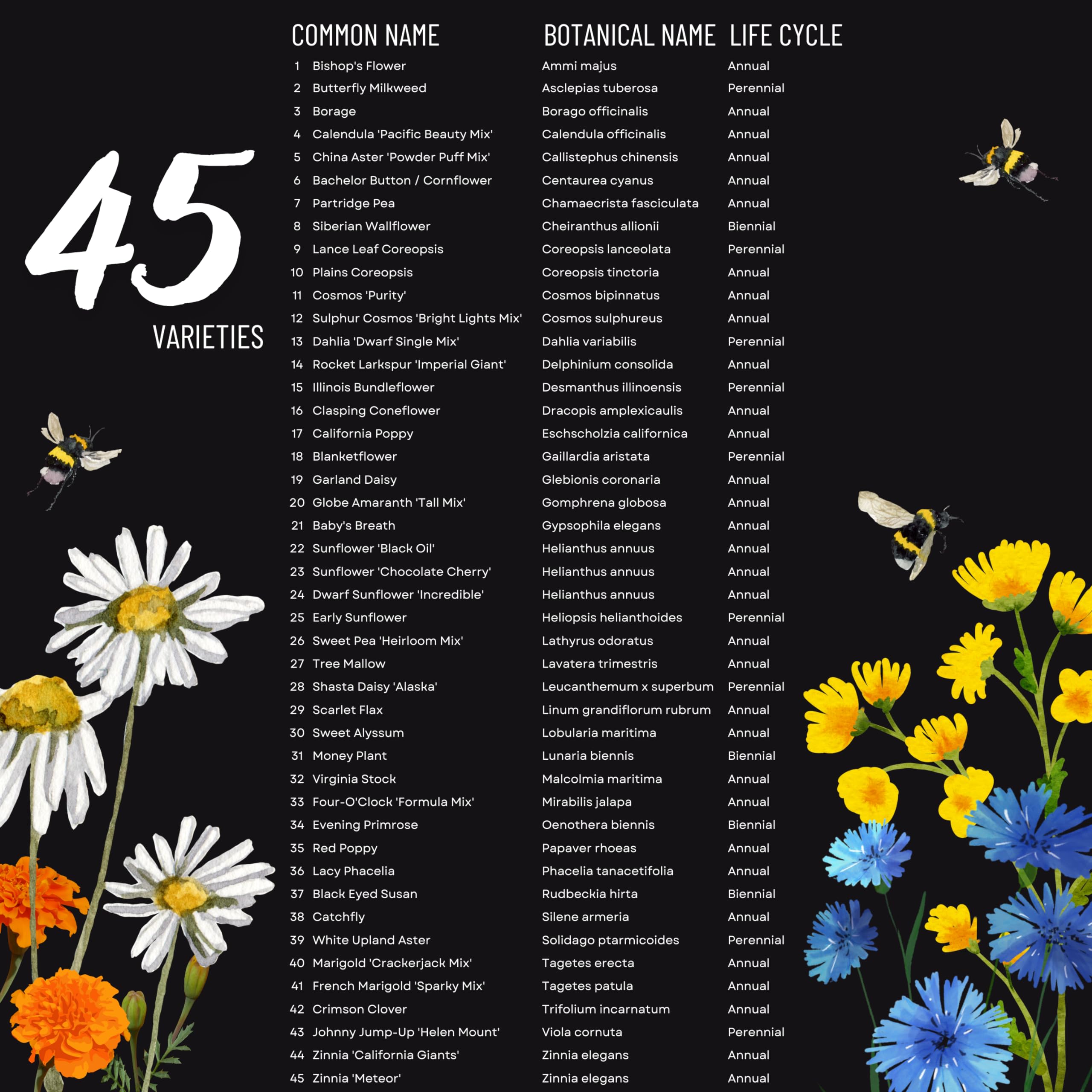 Lush garden with a variety of pollinator-attracting flowers