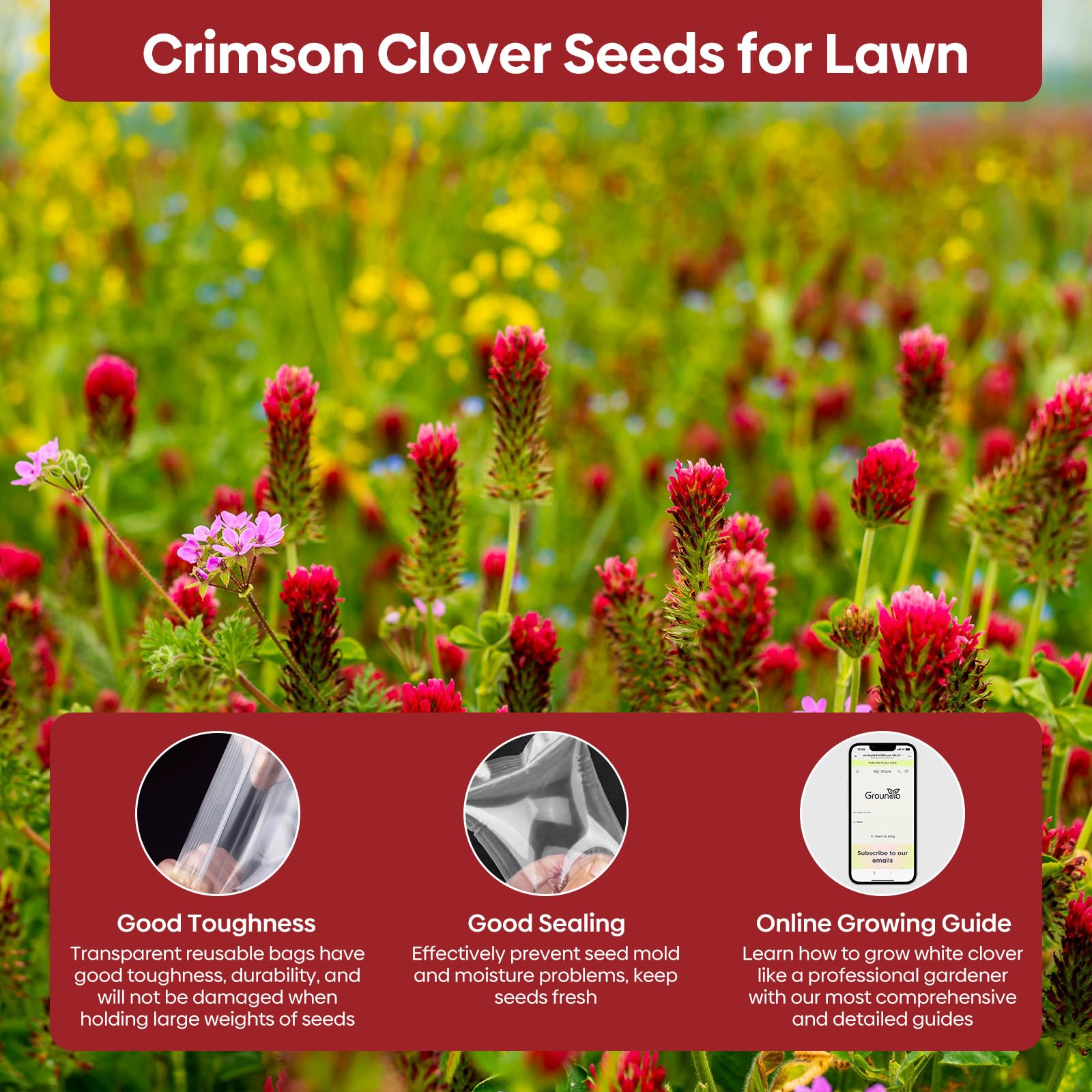 Lush garden with crimson clover ground cover