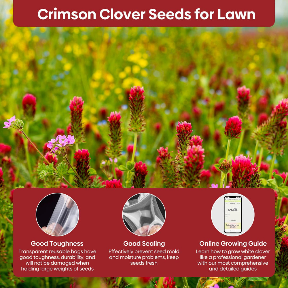Lush garden with crimson clover ground cover