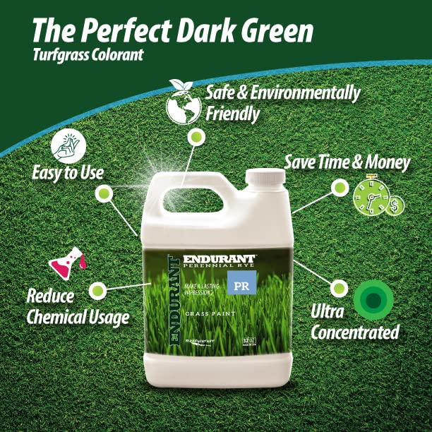 Lush green lawn after using Endurant Turf Colorants