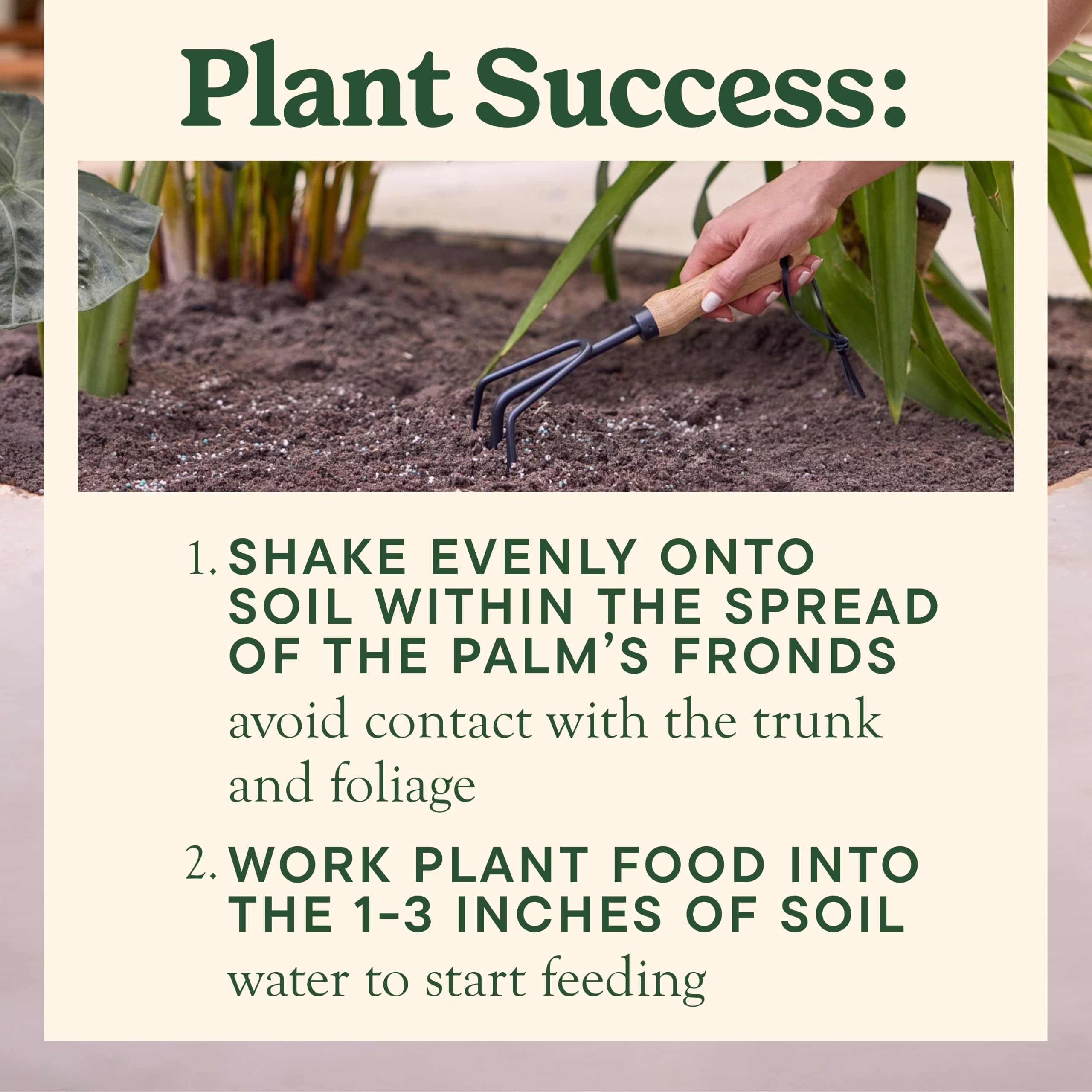 Lush palm tree nourished with Miracle-Gro Shake 'N Feed