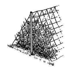 Luster Leaf Vine and Veggie Trellis Net packaging and details