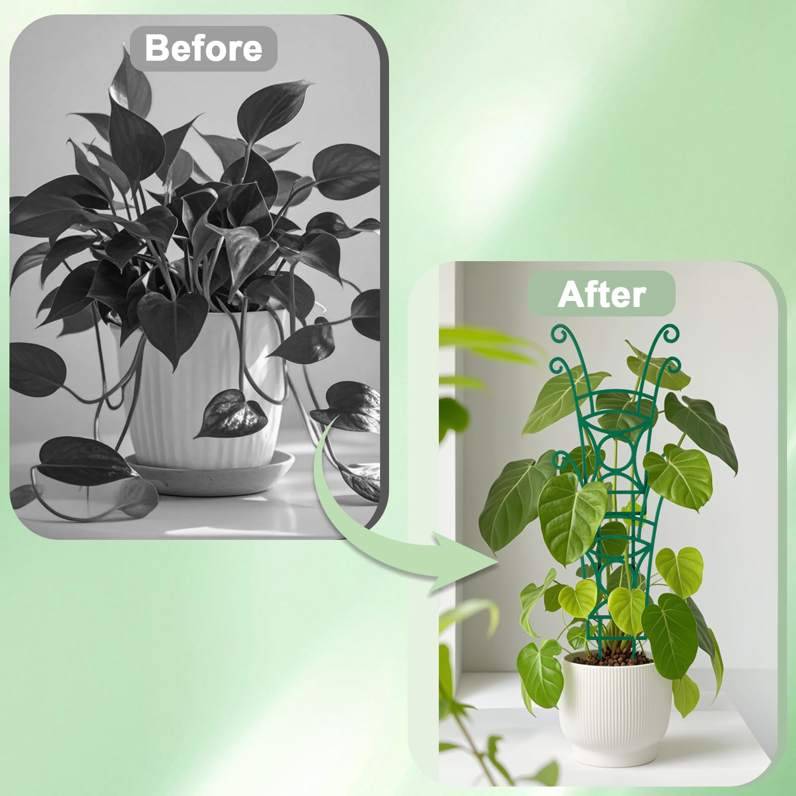 Luxury colour box packaging for Yhtpouqe trellis set
