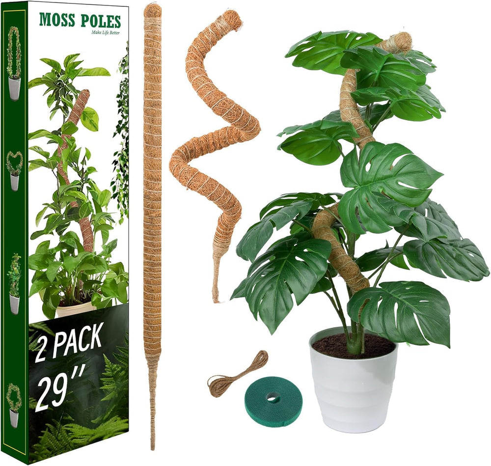 LveSunny 29 inch moss pole side view with coir finish