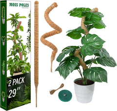 LveSunny 29 inch moss pole side view with coir finish