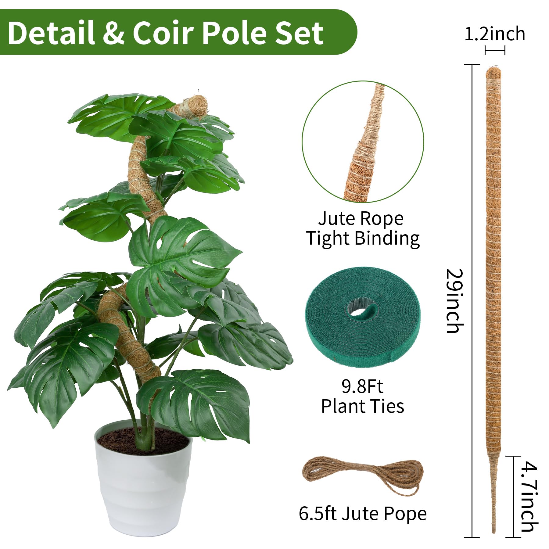 LveSunny moss pole with climbing plant support attached