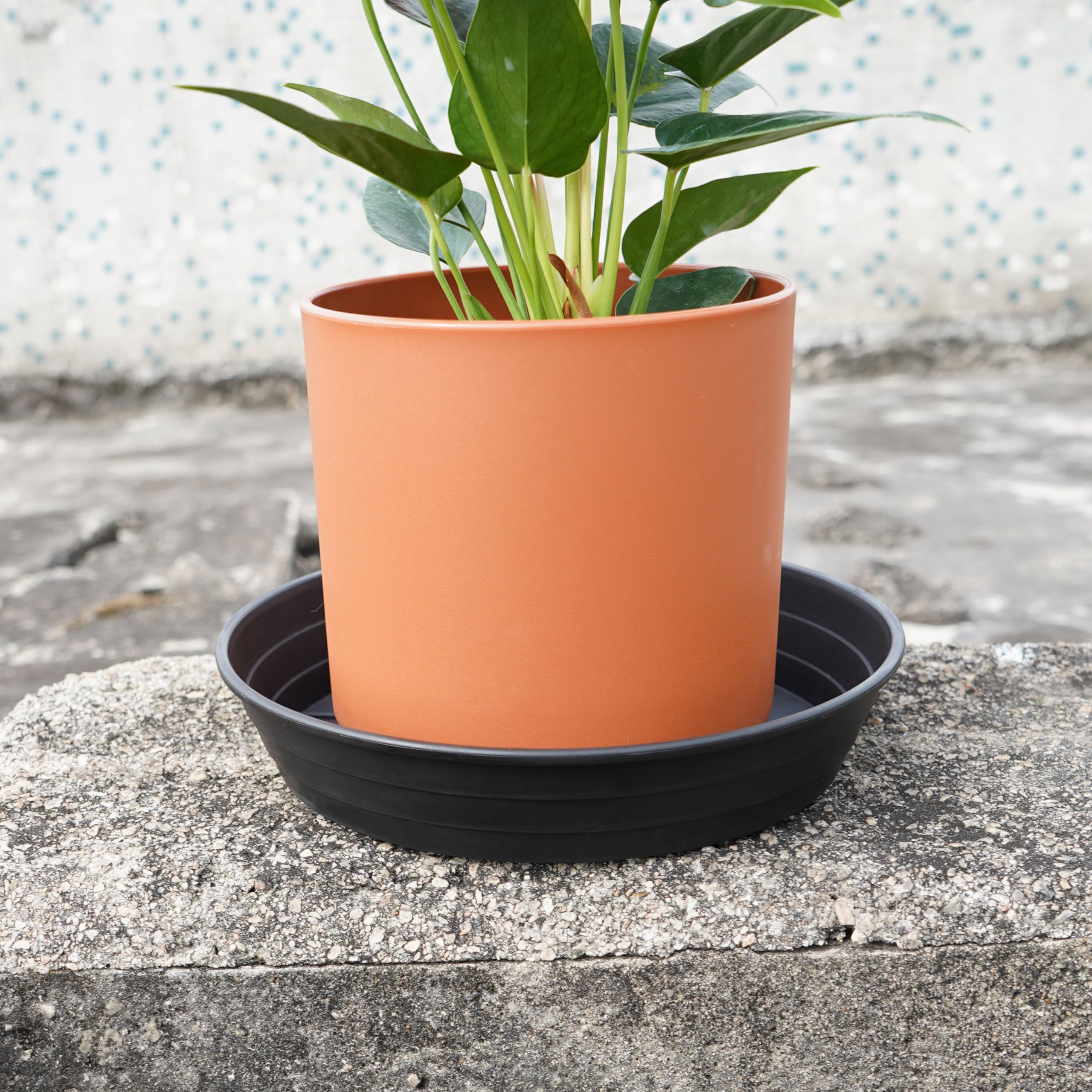 LWALRS 8 inch plant saucer tray with flower pot